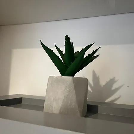 Le Nemo - Proche De La Gare Apartment